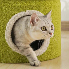 Piranha Plant Cat Tree - Cozy Cat House & Tower - Cat tree for large cats