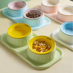 Ceramic Double Raised Cat Bowl with Non-Slip Stand
