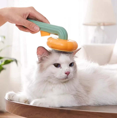 Person using a grooming tool on a white cat