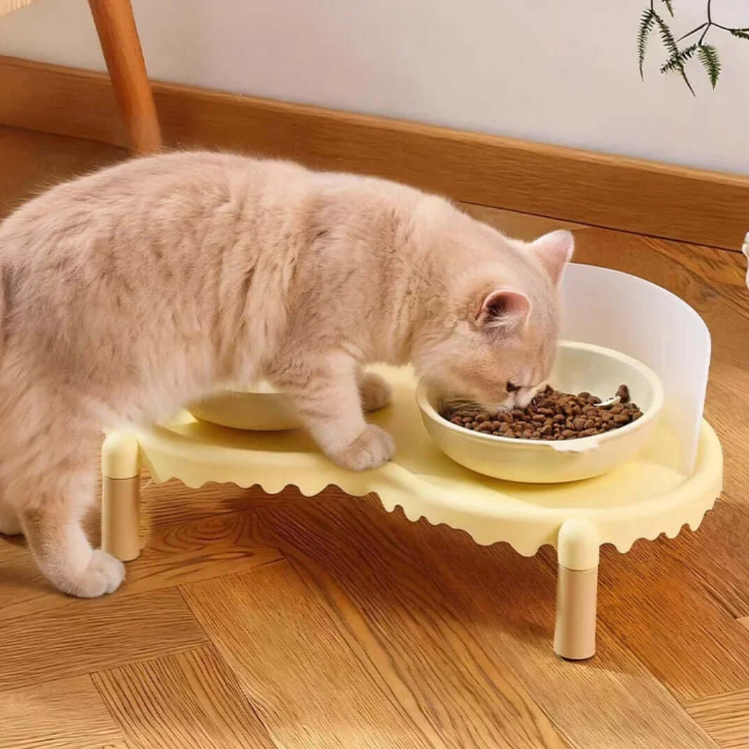 Cream cat eating dry food from elevated yellow pet bowl on wooden floor
