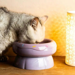 Donut Shape Ceramic Pet Bowl Dual‑Layer
