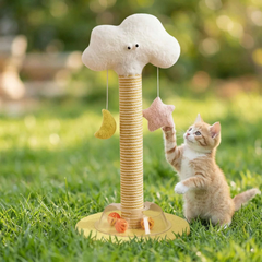 Cute ginger kitten playing with cloud-shaped cat scratching post and hanging star moon toys on grass