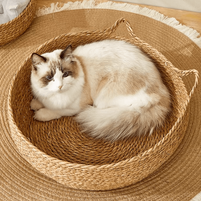 2-in-1 Woven Cat Donut Bed with Soft Cushion – 43x14cm-Petroom