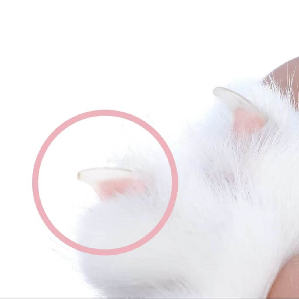 Pet Gravity LED Pet Nail Clipper Mini-PETROOM