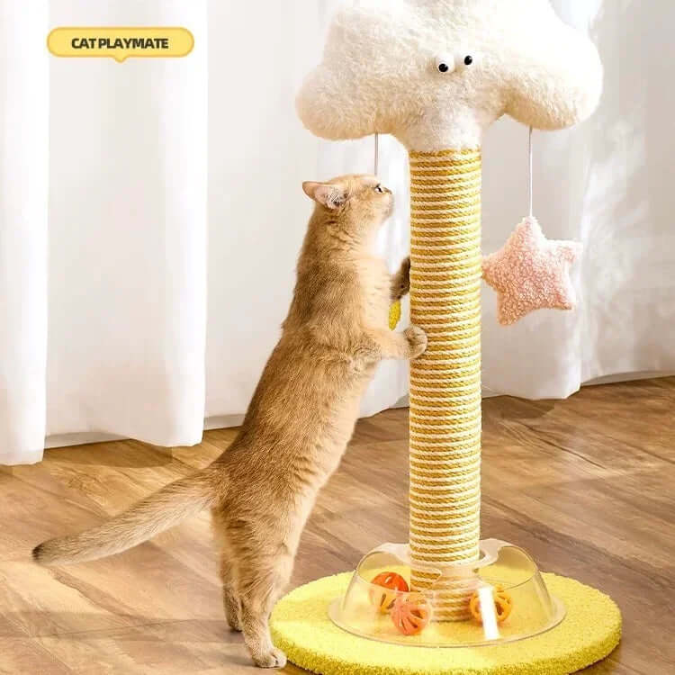 Ginger cat playing with cloud-shaped cat scratching post and star toy, ideal for indoor feline fun.