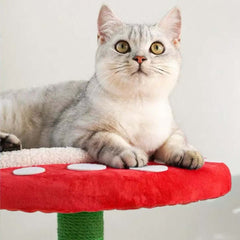 Piranha Plant Cat Tree - Cozy Cat House & Tower - Cat tree for large cats