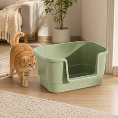 Orange cat near modern green litter box in cozy home setting