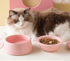 3-in-1 Ceramic Cat Bowl with Non-Slip Strip-Petroom