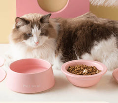 Fluffy cat with pink pet bowls for food and water, stylish cat supplies