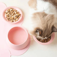 Fluffy cat eating from pink pet bowl with dry food, water bowl nearby, stylish cat feeding set