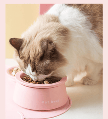 3-in-1 Ceramic Cat Bowl with Non-Slip Strip-Petroom