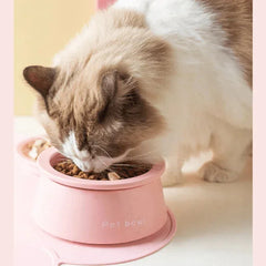 Fluffy cat eating from pink pet bowl with non-slip base, ideal for cats and dogs