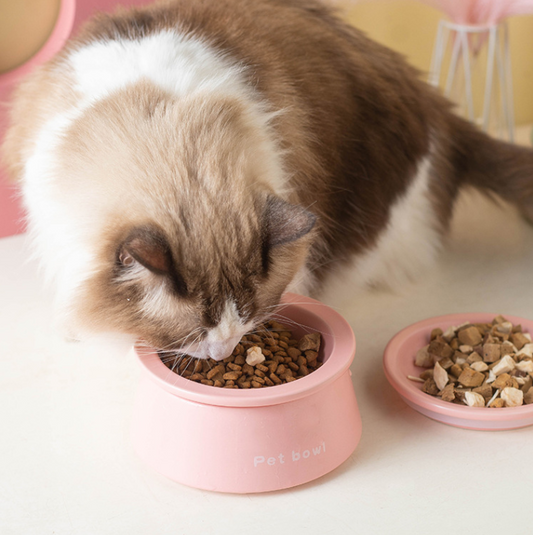 3-in-1 Ceramic Cat Bowl with Non-Slip Strip-Petroom