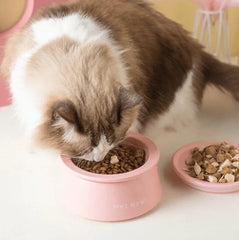 Fluffy cat eating dry food from pink pet bowl, stylish cat supplies for Melbourne pet owners