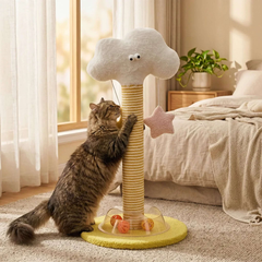 Cat playing with cloud-shaped scratching post and hanging star toy in cozy bedroom