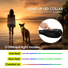 50cm USB Rechargeable Light-up LED Pet Collar-Petroom
