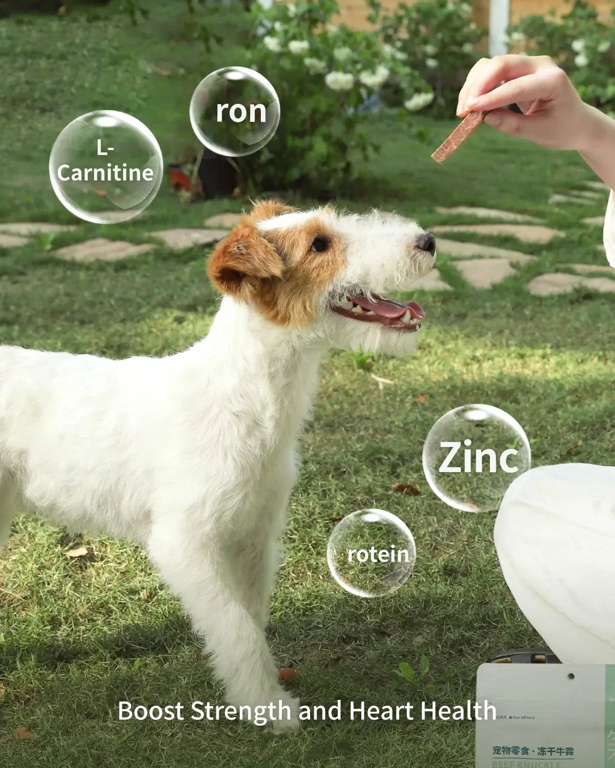 PET-EVER Freeze Dried Beef Knuckle Cat &Dog Treats 70g-PETROOM