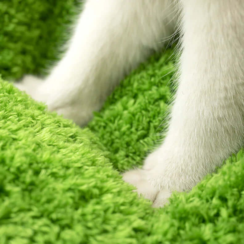 Close-up of a white dog's paws on a green grass-like surface