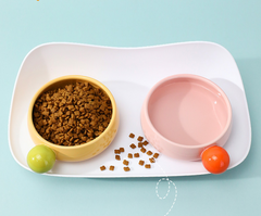 Ceramic Double Bowl with Spill-Proof Tray For Cats & Small Dogs