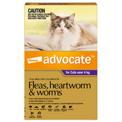 ADVOCATE Flea Heartworm and Worm For Big Cat 3pack (Purple)-Petroom