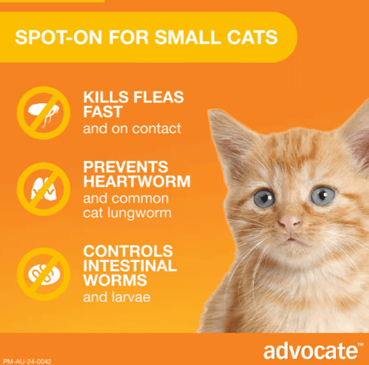 ADVOCATE Flea Heartworm and Worm For Small Cat 3pk (Orange)-Petroom