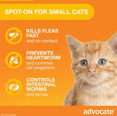 Spot-on flea and worm treatment for small cats, kills fleas fast, prevents heartworm, controls intestinal worms