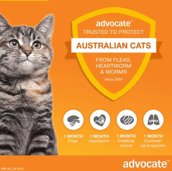 Advocate cat flea, heartworm & worm treatment for Australian cats, 1-month protection