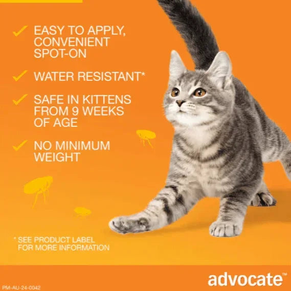Adocate cat flea treatment: easy spot-on, water resistant, safe for kittens 9+ weeks, no minimum weight
