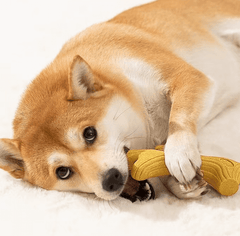 Antler-Shaped Chew Dog Toy – Durable Teething Stick for Small &Medium Dogs-Petroom