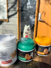 Auinpet BRAIN + EYE SUPPORT DHA Chews For Pets 180g-Petroom