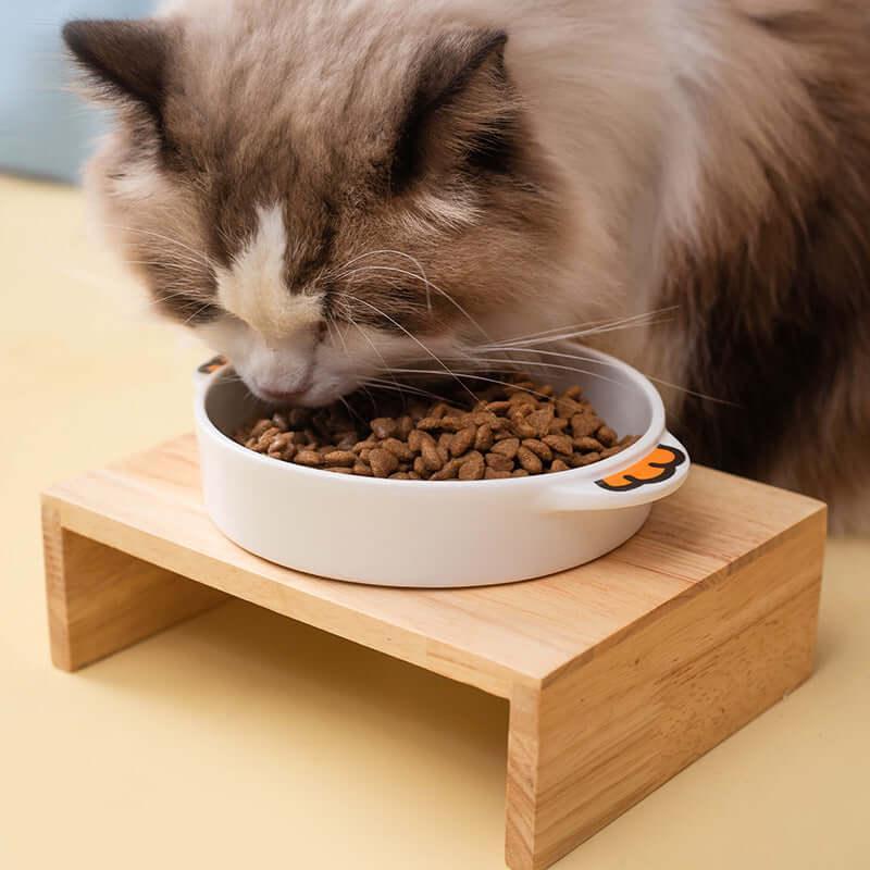 Fluffy cat eating dry food from white bowl on wooden stand, stylish pet feeding setup