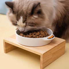 Fluffy cat eating dry food from white bowl on wooden stand, stylish pet feeding setup