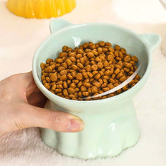 Ceramic Elevated Cat Bowl with 15° Tilt-Petroom