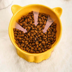Ceramic Elevated Cat Bowl with 15° Tilt-Petroom