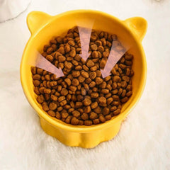 Ceramic Elevated Cat Bowl with 15° Tilt-Petroom