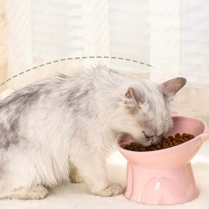 Ceramic Elevated Cat Bowl with 15° Tilt-Petroom
