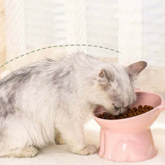 Ceramic Elevated Cat Bowl with 15° Tilt-Petroom