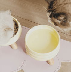 Ceramic Pet Bowls with Wood Stand Elevated Cat & Dog Feeder-Petroom