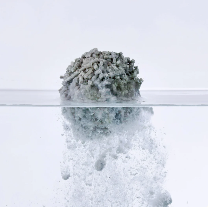 Cute Tabby Tofu Cat Litter Activated Carbon 2.5KG-Petroom