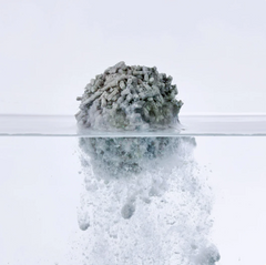 Cute Tabby Tofu Cat Litter Activated Carbon 2.5KG-Petroom