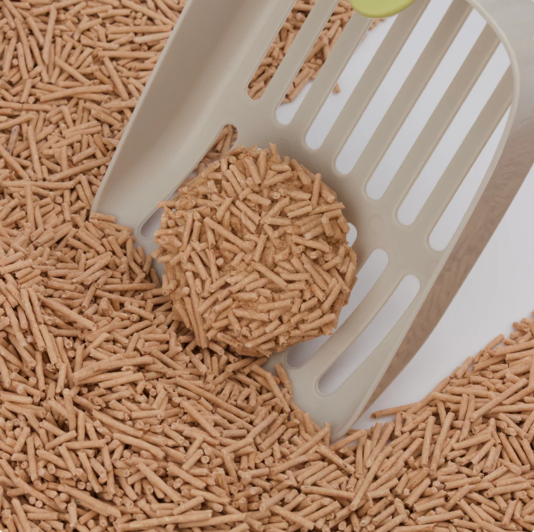 Cute Tabby Tofu Cat Litter Coffee 2.5KG-Petroom