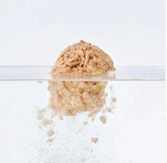 Cute Tabby Tofu Cat Litter Coffee 2.5KG-Petroom