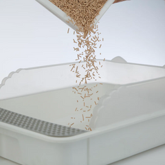 Cute Tabby Tofu Cat Litter Coffee 2.5KG-Petroom