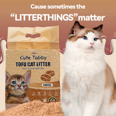 Cute Tabby Tofu Cat Litter Coffee 2.5KG-Petroom