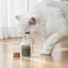 Michu Euphoria Dried Catnip Flakes for Cats 100ml | Natural Catnip for Enrichment Alongside Freeze Dried Cat Treats