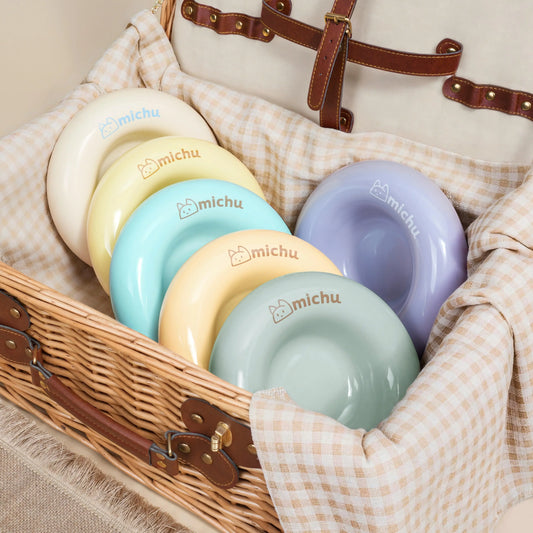 Michu Ceramic Cat Bagel Bowl – Anti-Whisker Wide Shallow Pet Food Bowl Rainbow Colours