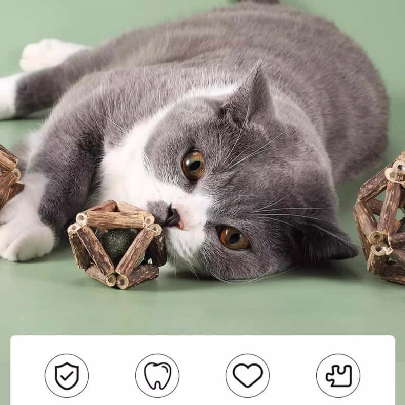 Dental Chew Catnip Cat Toy Ball-Petroom