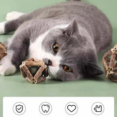 Dental Chew Catnip Cat Toy Ball-Petroom