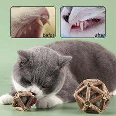 Dental Chew Catnip Cat Toy Ball-Petroom