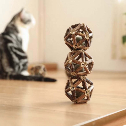 Dental Chew Catnip Cat Toy Ball-Petroom